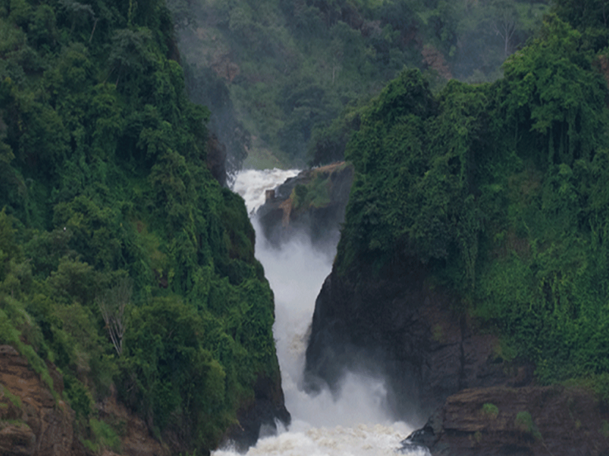 Murchison Falls National Park