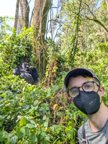 Gorilla Ttrekking experience in Bwindi Impenetrable National Park
