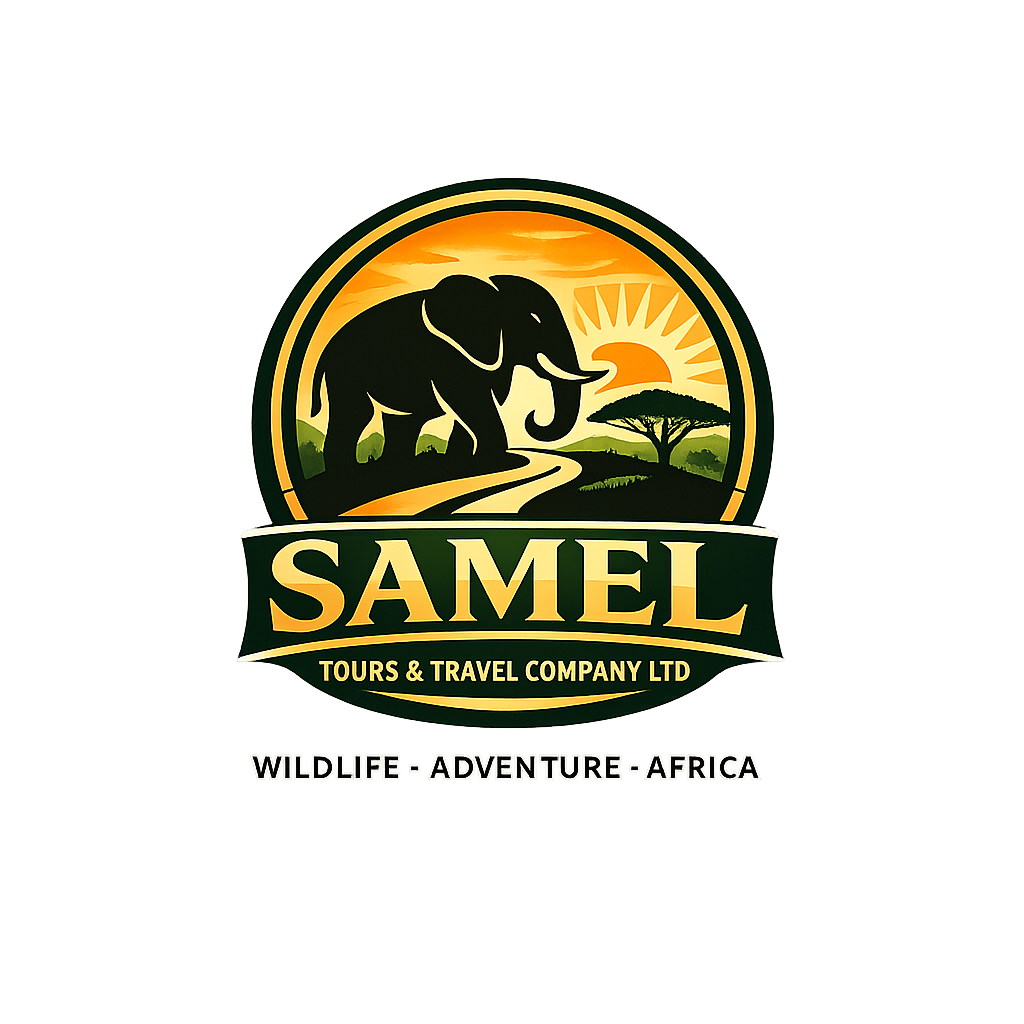 SAMEL-TOURS-AND-TRAVEL-PNG.